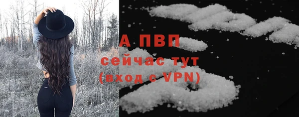 прущий лед Карпинск