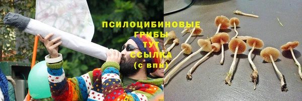 прущий лед Карпинск
